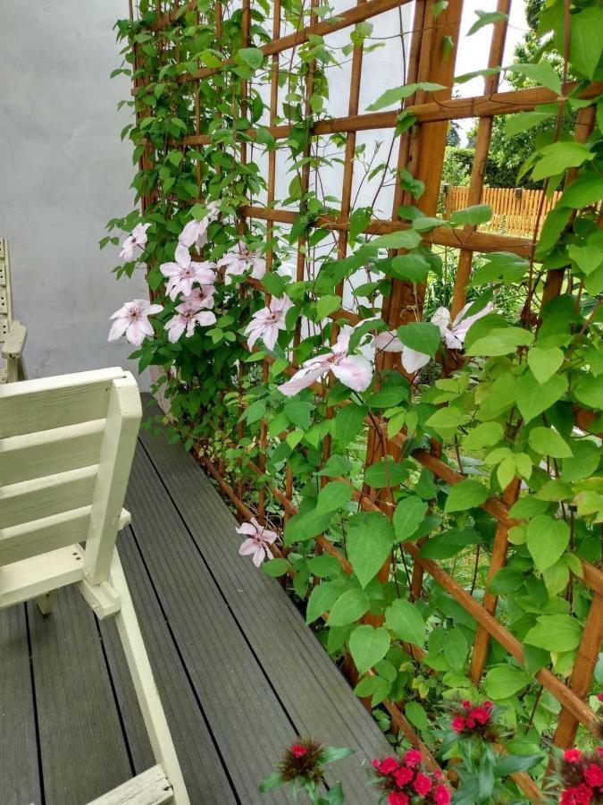 Apartament Przy Kamiennej Chacie Zalewo  Esterno foto